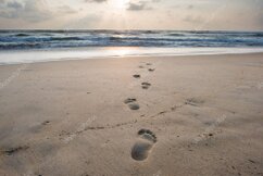 夕焼けに染まる海を眺めながら散歩する様子