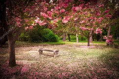 色とりどりの花が咲くガーデンでベンチに座る入居者